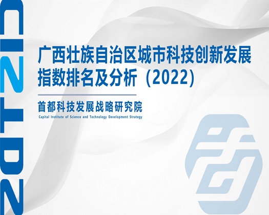 骚色插逼【成果发布】广西壮族自治区城市科技创新发展指数排名及分析（2022）